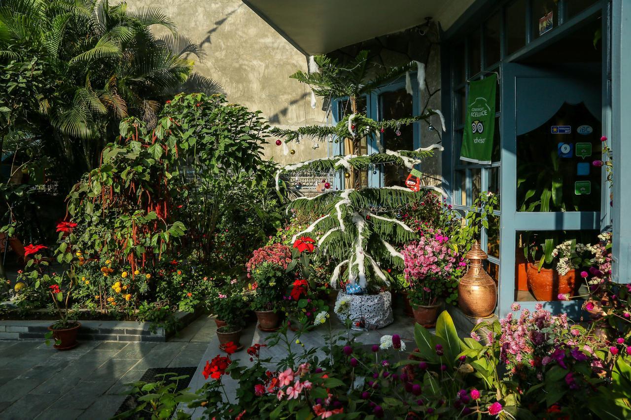 Hotel Silver Oaks Inn Pokhara Exterior photo